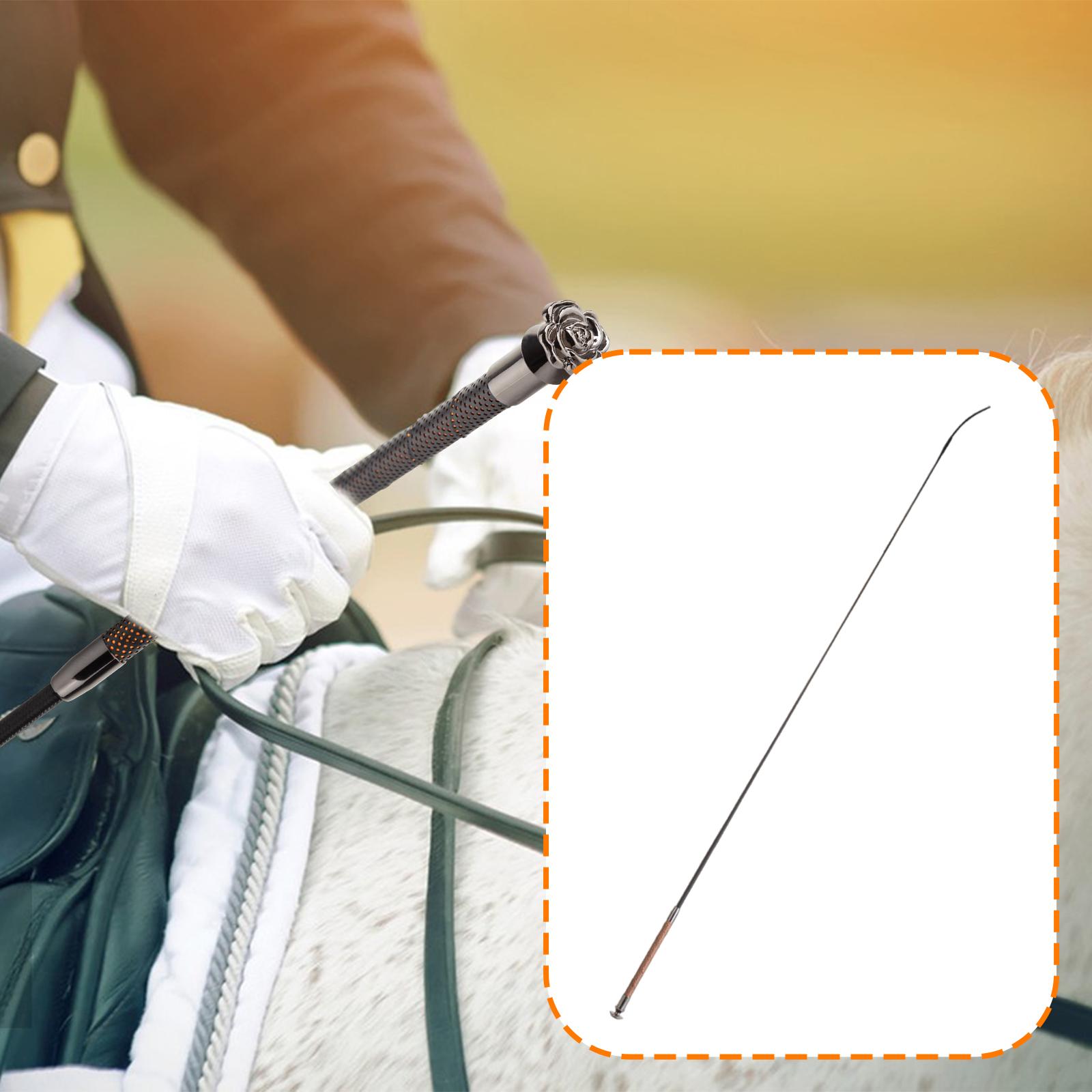 سوط الفروسية لركوب الخيل، سوط  - مراجعة Riding Crop Dressage وسعره