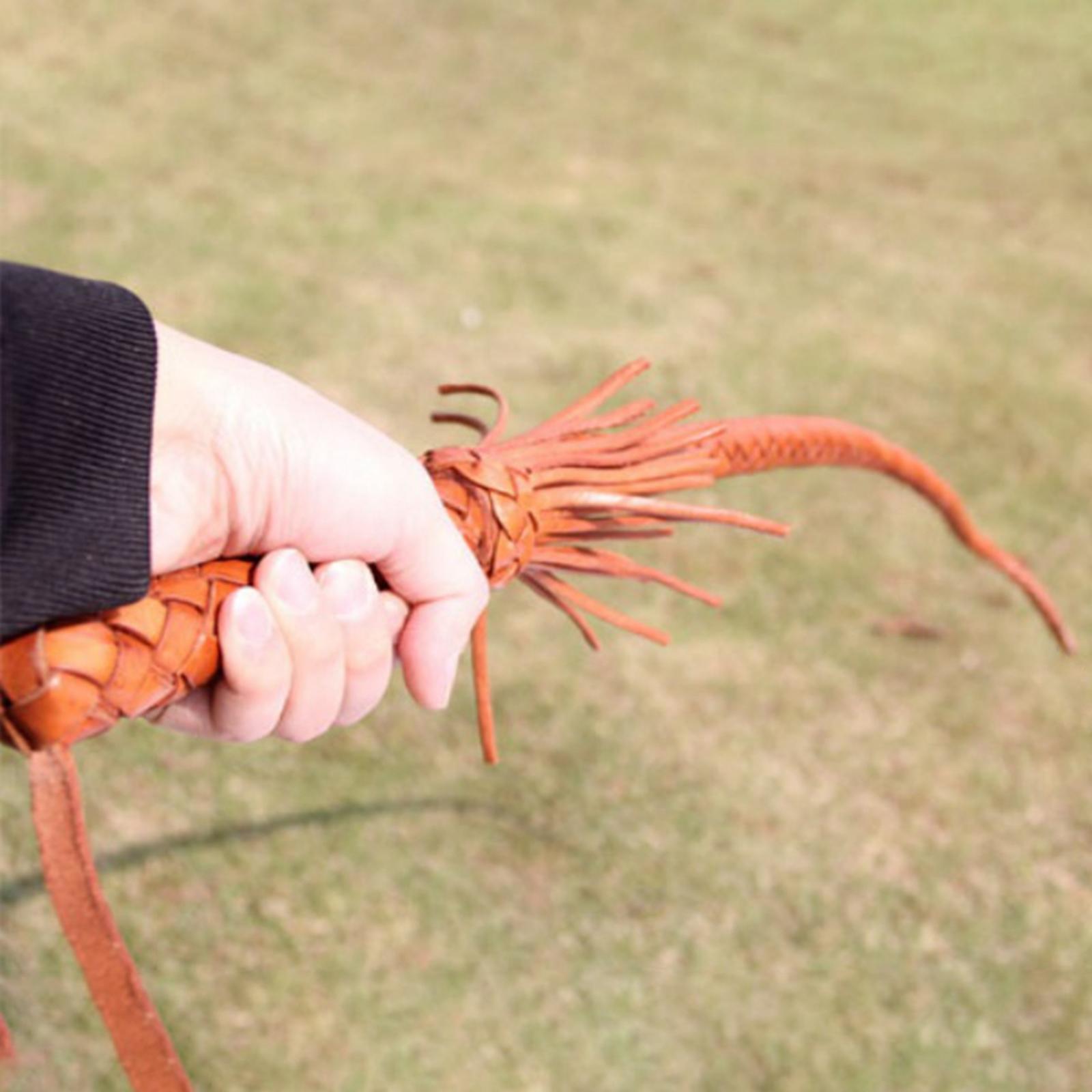سوط ركوب الخيل من الجلد الصناع - مراجعة Riding Crop Dressage وسعره