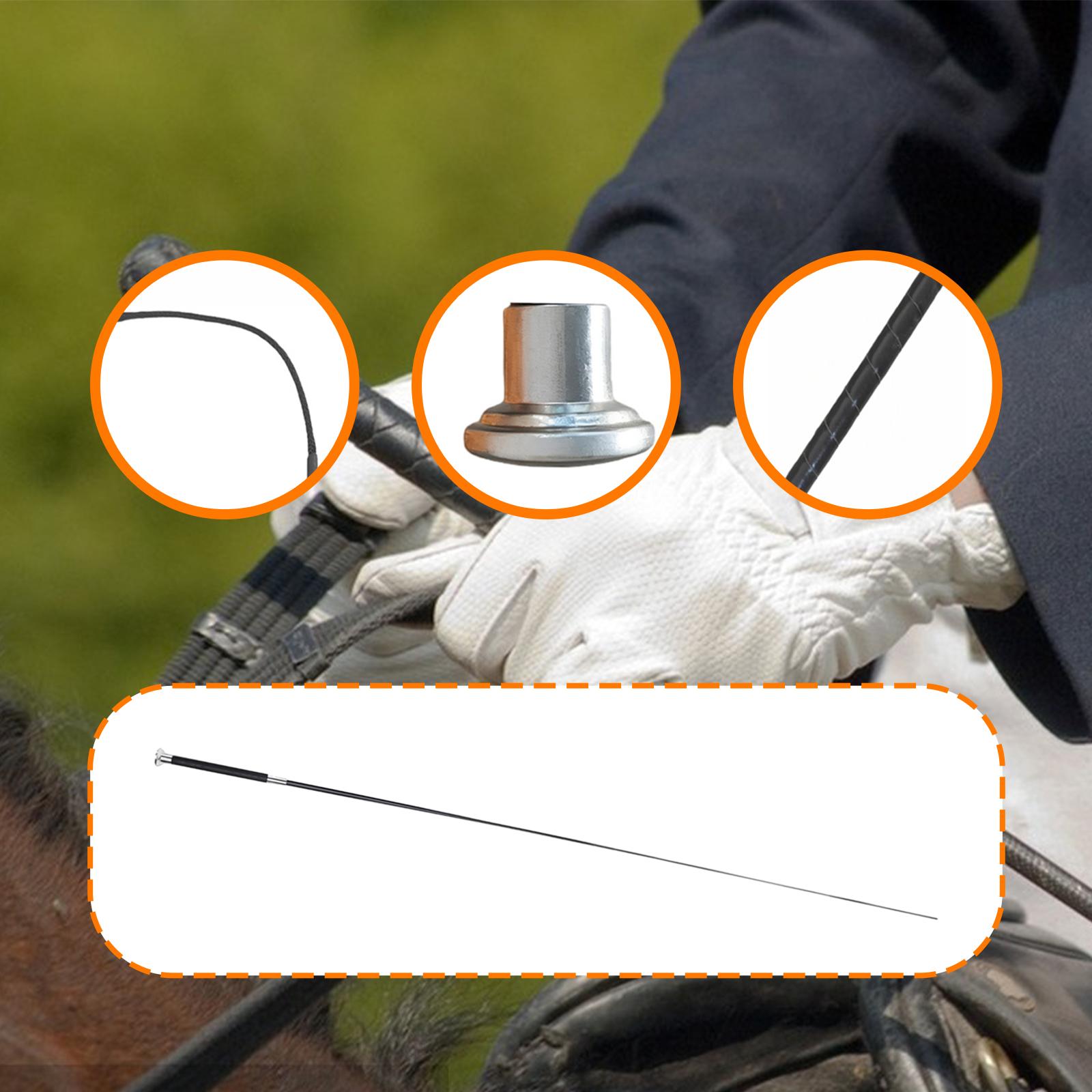 سوط ركوب متعدد الاستخدامات من  - مراجعة Riding Crop Dressage وسعره
