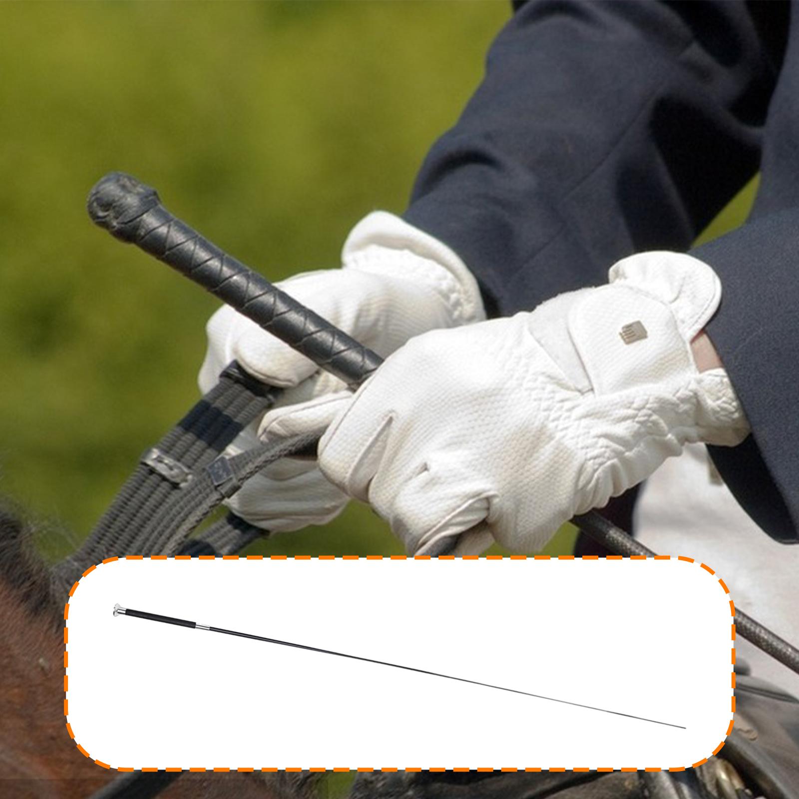 سوط ركوب متعدد الاستخدامات من  - مراجعة Riding Crop Dressage وسعره