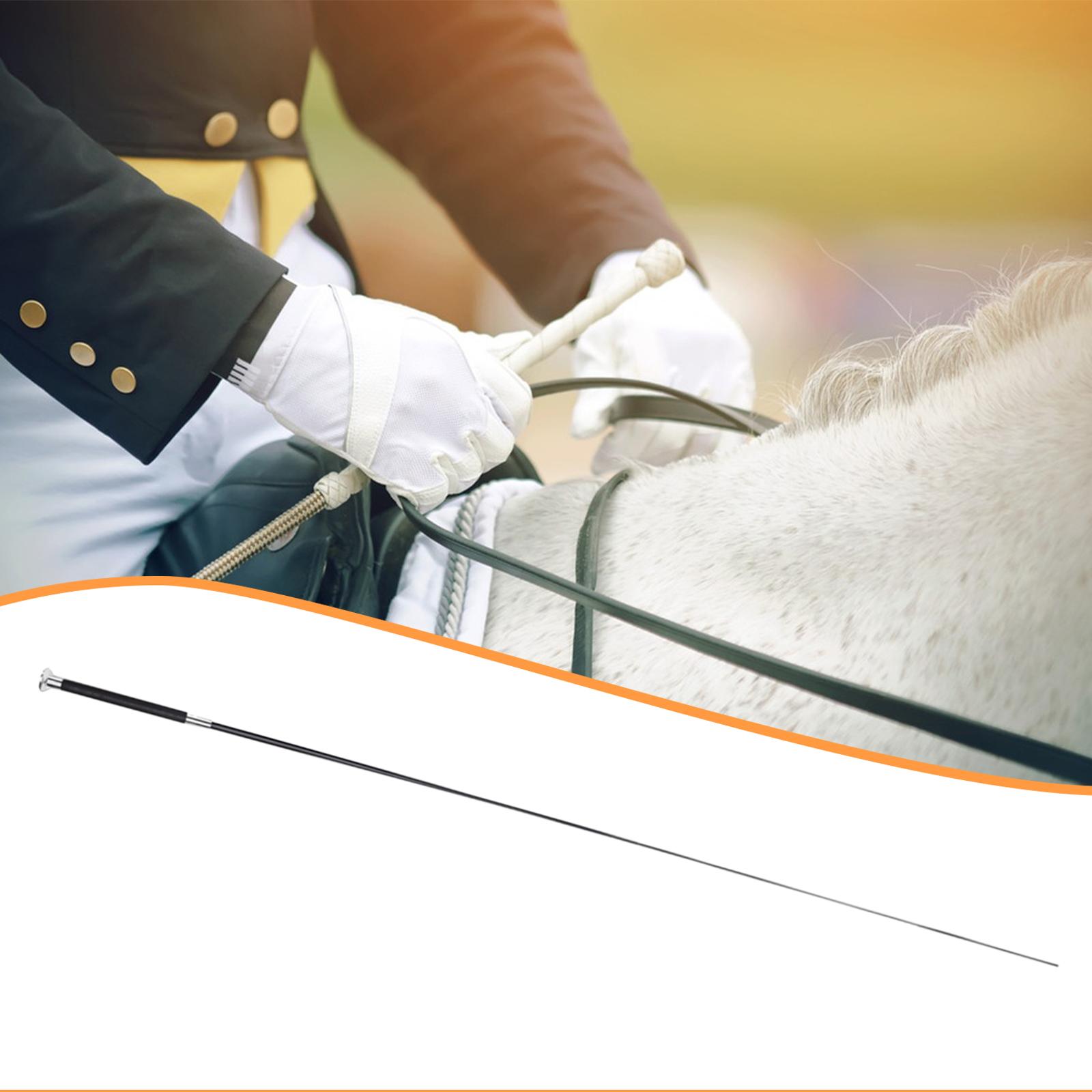 سوط ركوب الخيل التلسكوبي للتدر - مراجعة Riding Crop Dressage وسعره